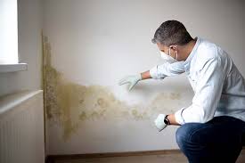 Best Industrial Mold Remediation  in Avondale, PA